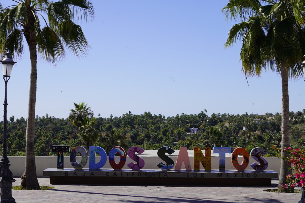 Todos Santos sign framed by palm trees.
