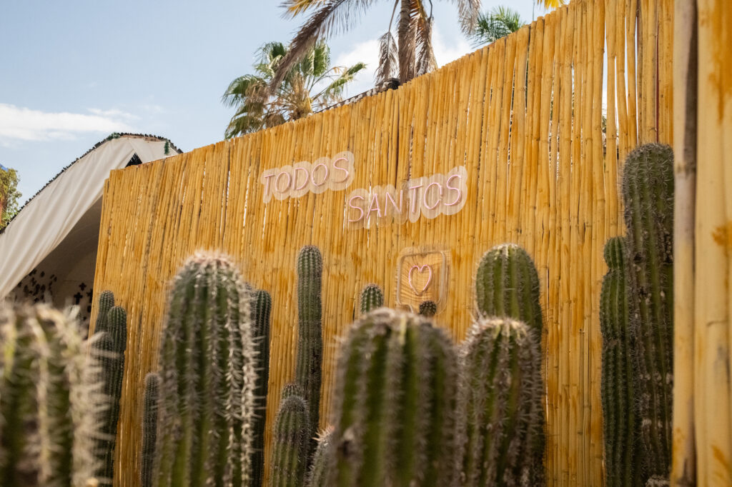 Cacti in front of a fence that says Todos Santos